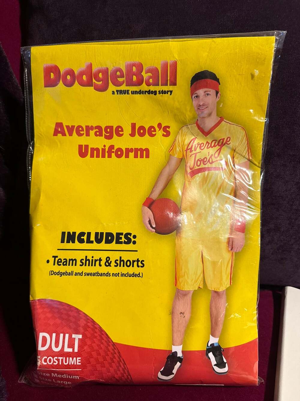 DodgeBall Average Joe's Adult Medium Costume Spirit Halloween 2016 New